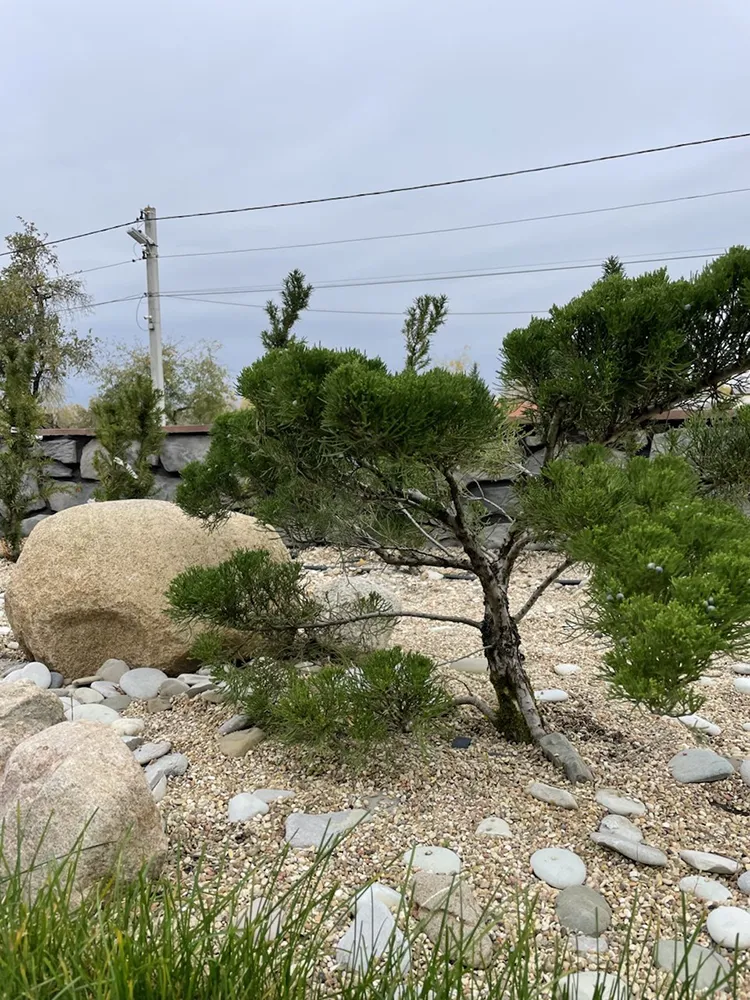 Landscape design service in Cyprus - Project example